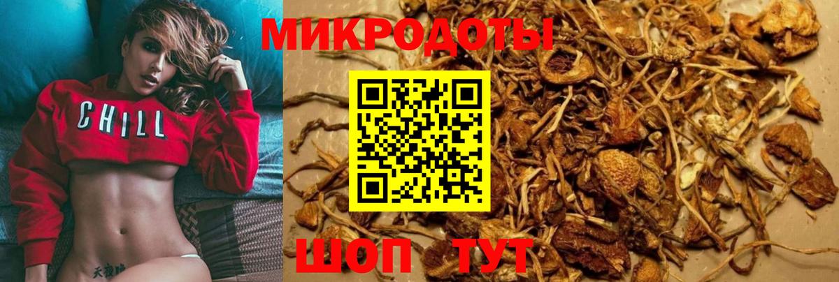 купить наркотики сайты  Псилоцибиновые грибы Cubensis  Вход с VPN  Ачхой-Мартан  Галлюциногенные грибы прущие грибы 