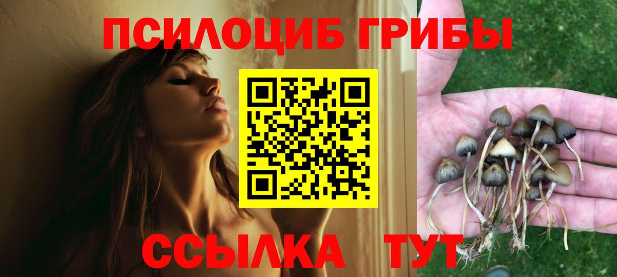 Псилоцибиновые грибы Magic Shrooms Ачхой-Мартан